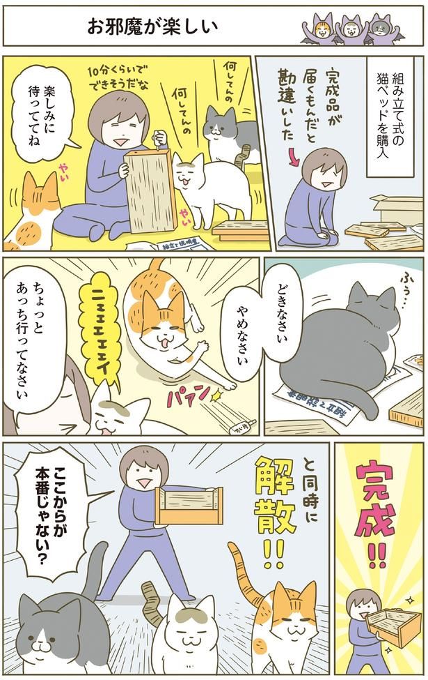 お邪魔が楽しい （C）卵山玉子／KADOKAWA
