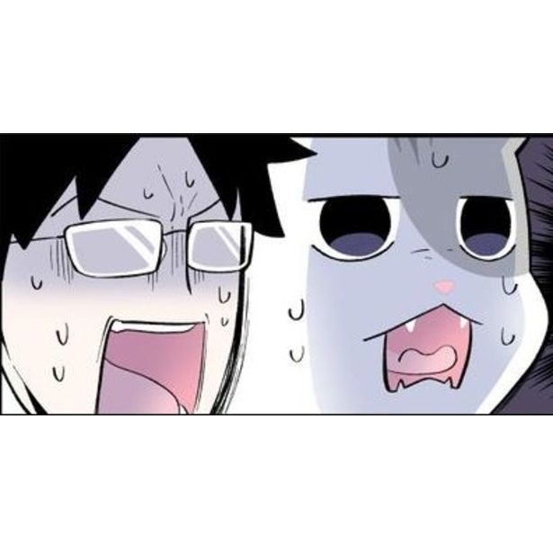 ブラック企業の社員が猫になって人生が変わった話 画像提供：清水めりぃ(@zatta_shimizu)