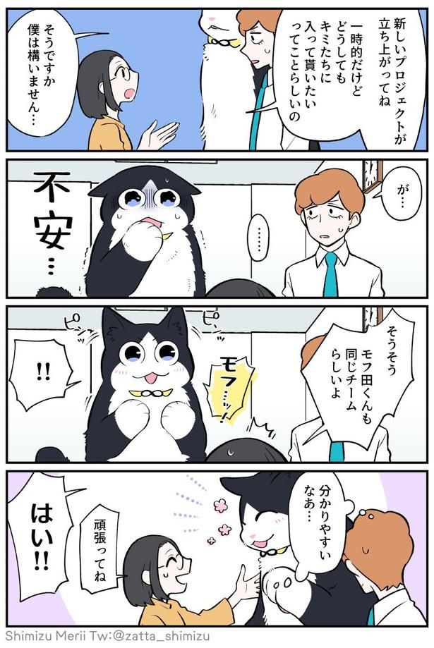 1-2 画像提供：清水めりぃ(@zatta_shimizu)