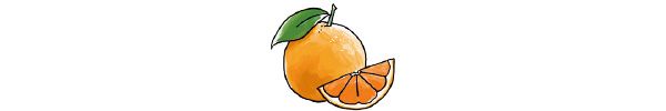 ビターオレンジ（Citrus aurantium amara）