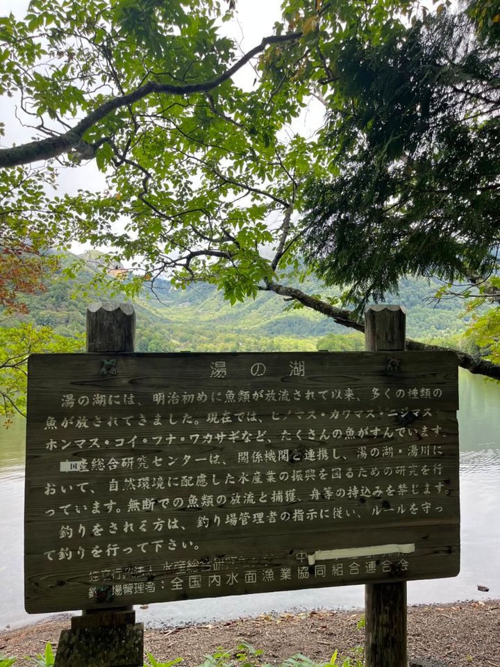 湯の湖