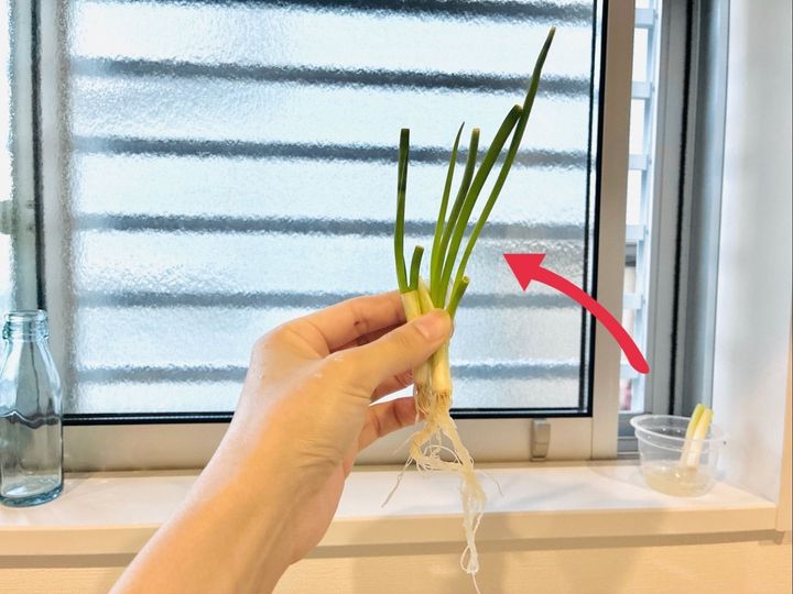 数日で