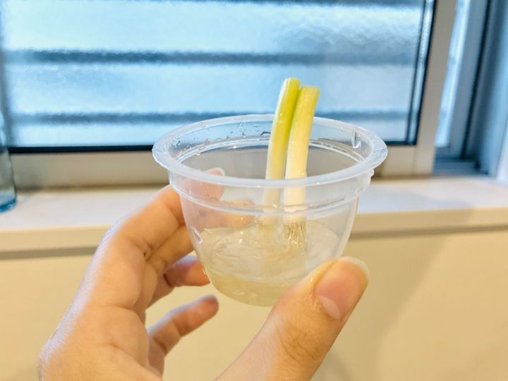 最近は「こんな小ネギ」を選んでます！節約したい人はココに注目！？試してみて〜