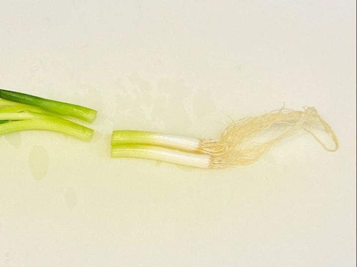 最近は「こんな小ネギ」を選んでます！節約したい人はココに注目！？試してみて〜