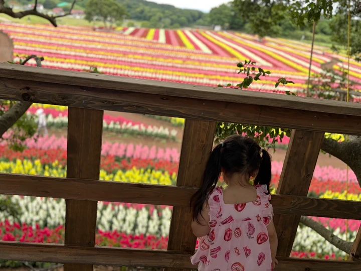 【東京ドイツ村レポ】遊園地・公園・お花畑まで！1日では遊びきれない大満足スポット_2