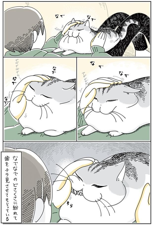 歯をチラ見させてもらっている （C）キュルZ／KADOKAWA