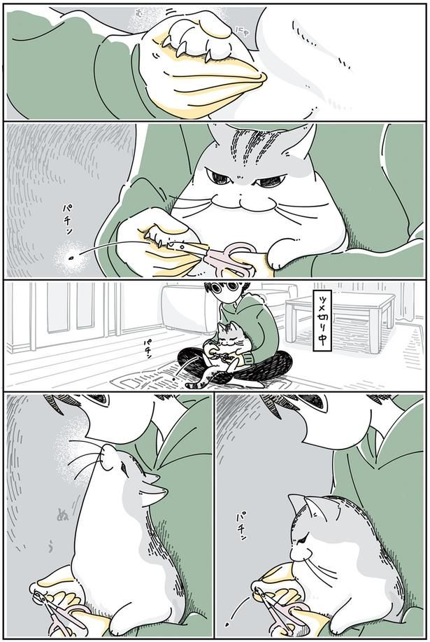 ツメ切り中 （C）キュルZ／KADOKAWA