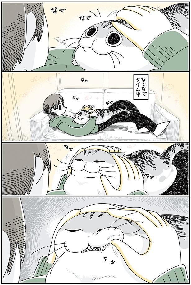 なでなでタイム中 （C）キュルZ／KADOKAWA