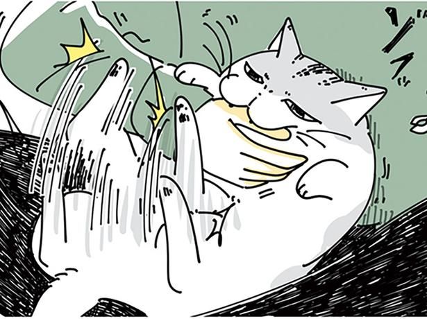 爪切りを嫌がる猫 （C）キュルZ／KADOKAWA