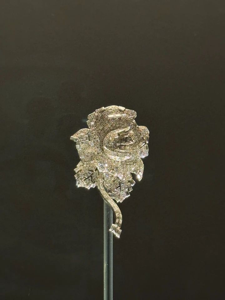 アートの街メルボルン｜NGVカルティエ展の光と宝石の世界_14