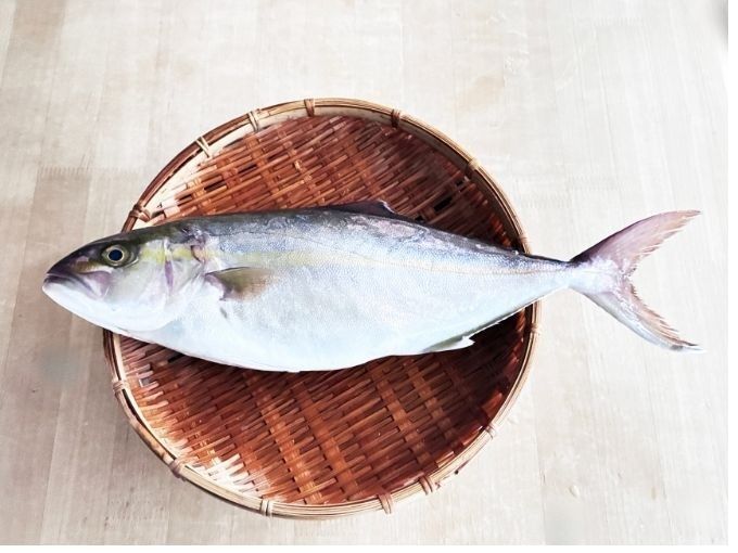 【天然魚クエスト】鮮度抜群の贅沢がやってきた！ お刺身尽くしとアラまで味わう絶品献立 