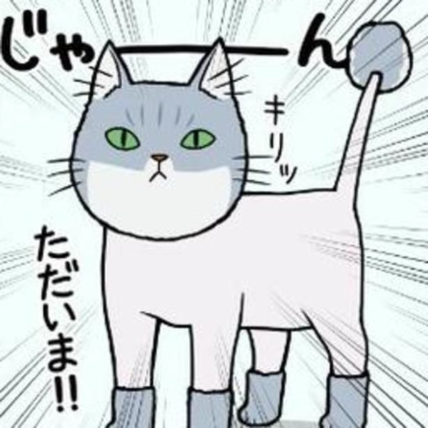 フワフワの長毛猫だったティオが、ものすごくサッパリとカットされて帰宅した。