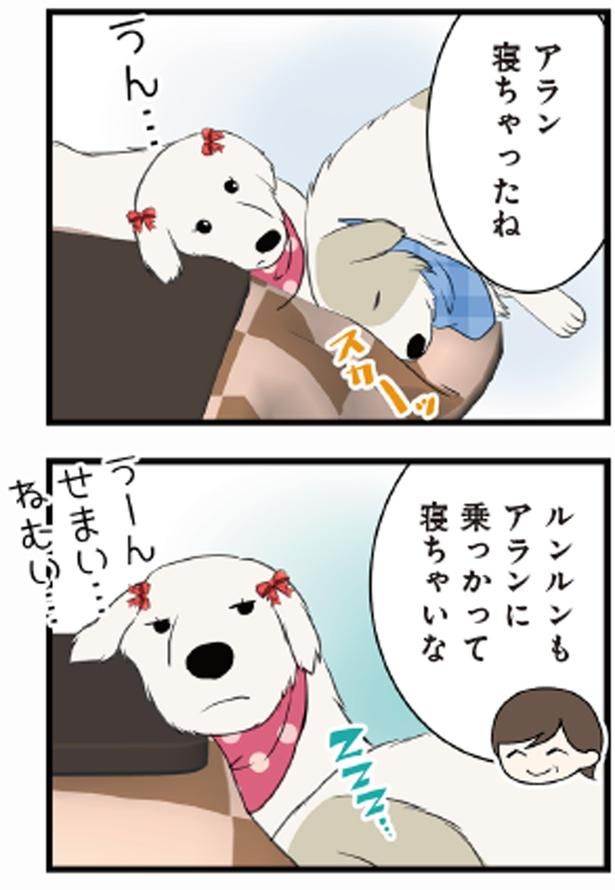 アラン寝ちゃったね （C）今日のルンルン、ゆに／KADOKAWA