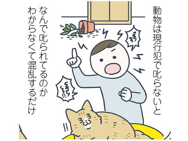 現行犯で叱らないとダメ？ （C）卵山玉子／KADOKAWA