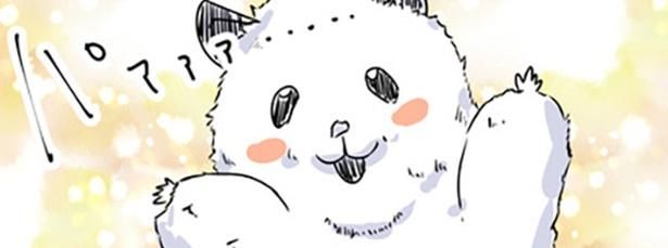 普段はかわいいハムスターなのだが… 画像提供：しゃけなかほいさん