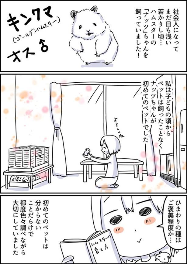 「ハムスター飼ってた時の話」1-1 画像提供：しゃけなかほいさん
