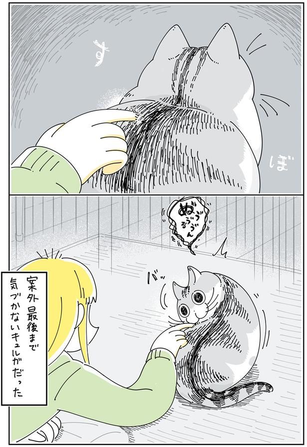 案外最後まで気づかない （C）キュルZ／KADOKAWA