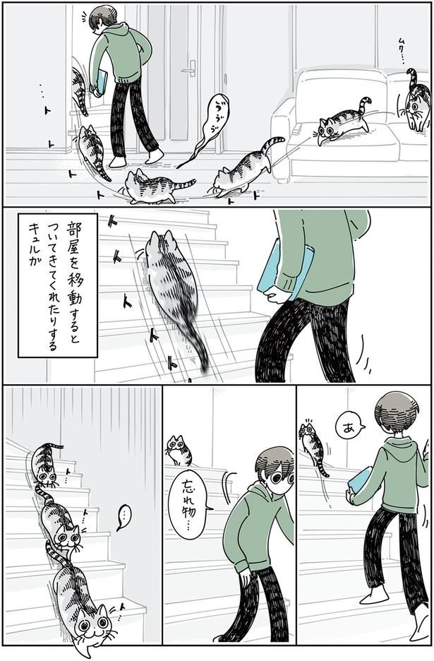 部屋を移動すると… （C）キュルZ／KADOKAWA