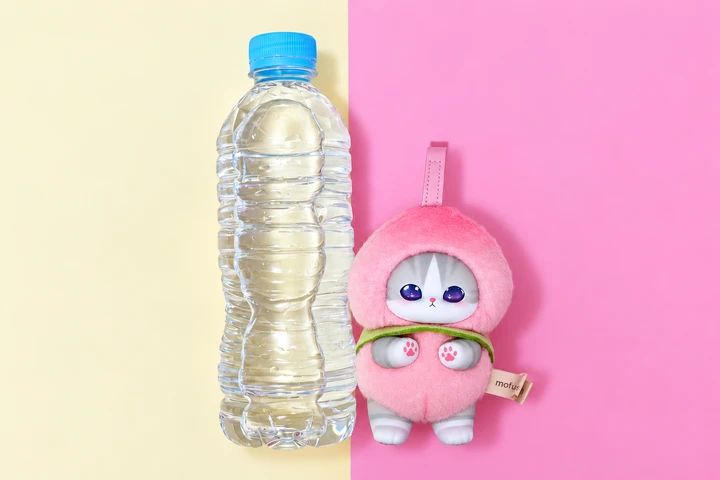 500mLのペットボトルとmofusandキラメッコフルーツにゃんを比較した写真