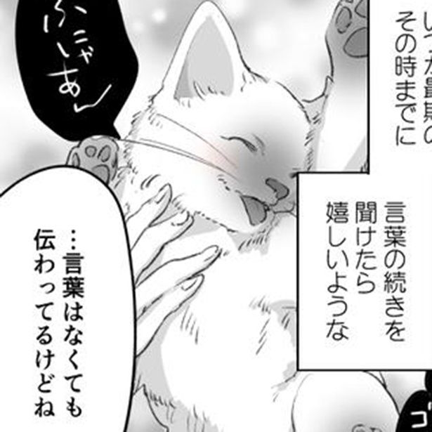 言葉の壁と猫 画像提供：かっく(@cak221)