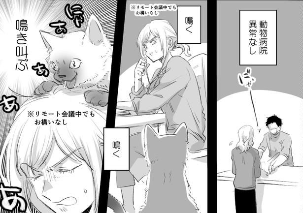 言葉の壁と猫(2) 画像提供：かっく(@cak221)