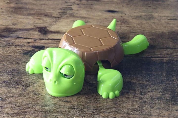 眠たそうな顔をした緑色のかめコースターが甲羅と分離している