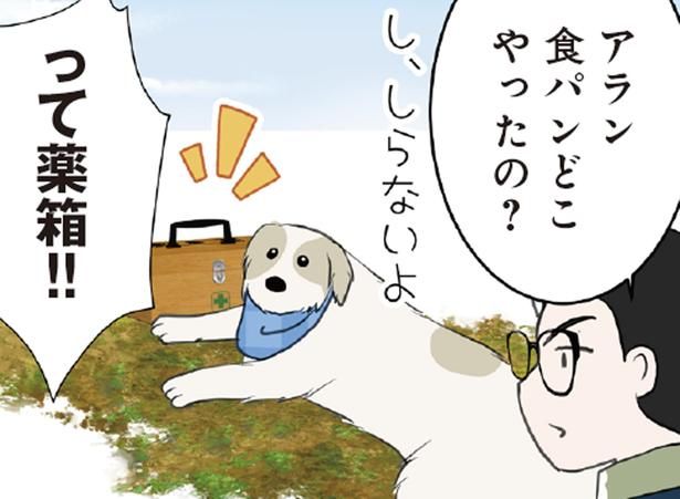 食パンが消えた！ 真っ先に疑われた大型犬の反応は？ （C）今日のルンルン、ゆに／KADOKAWA