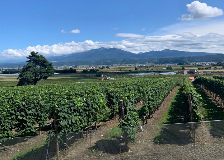 北海道・富良野の「カンパーナ六花亭」から眺める十勝岳