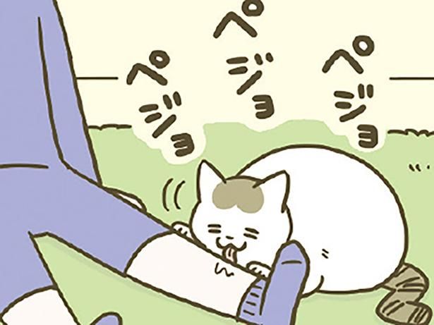 飼い主の脛を舐め続ける猫 （C）卵山玉子／KADOKAWA