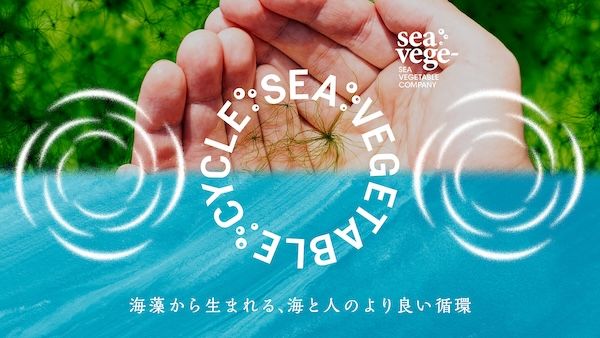 海藻を起点とした新しい循環づくり。10周年のシーベジタブルが共創プロジェクトを開始