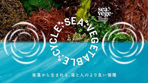海藻を起点とした新しい循環づくり。10周年のシーベジタブルが共創プロジェクトを開始