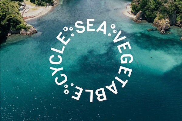 海藻を起点とした新しい循環づくり。10周年のシーベジタブルが共創プロジェクトを開始