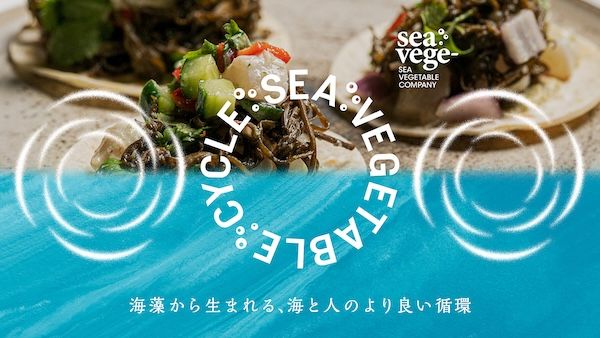 海藻を起点とした新しい循環づくり。10周年のシーベジタブルが共創プロジェクトを開始