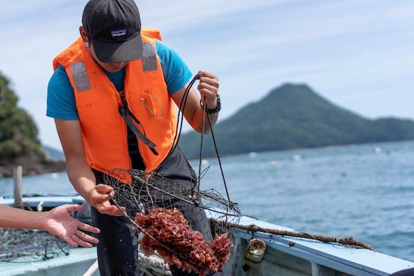 海藻を起点とした新しい循環づくり。10周年のシーベジタブルが共創プロジェクトを開始