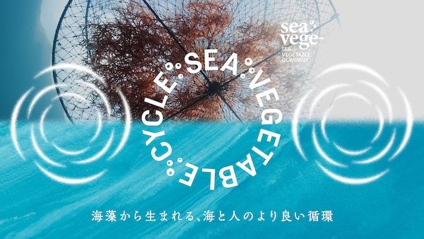 海藻を起点とした新しい循環づくり。10周年のシーベジタブルが共創プロジェクトを開始