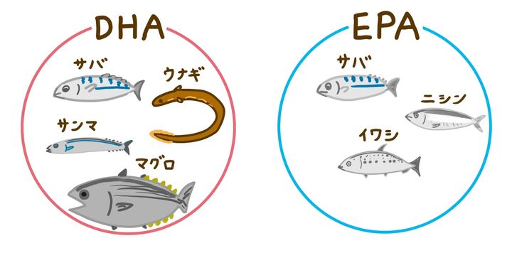 EPA・DHA