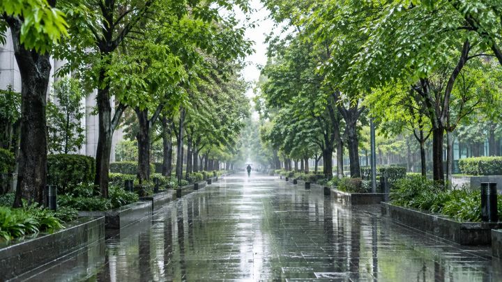 雨上がりの匂いは実は土地と微生物から立ち上っていた