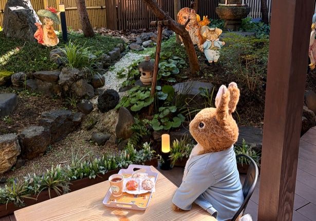 二寧坂店の庭でゆっくり