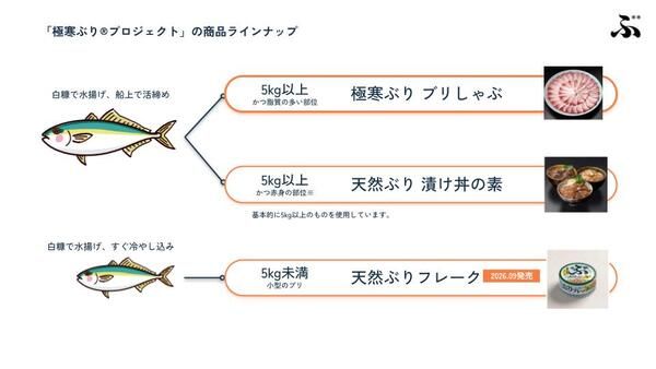【北海道白糠町】海の変化をきっかけに開発された「白糠産天然ぶりフレーク缶」がふるさと納税返礼品に