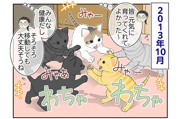 【マンガ・老猫日誌＃140】「次のおうちに行くよ」コロンたち3匹の旅立ち〜思い出の老猫日誌・桃姐と小論