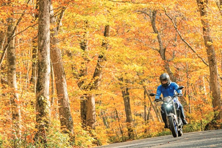 この秋、絶対に走りたい！東北紅葉ツーリング道11選