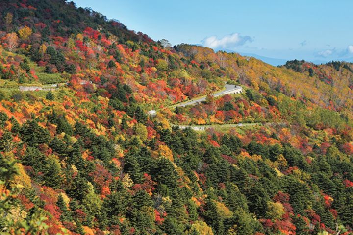 この秋、絶対に走りたい！東北紅葉ツーリング道11選