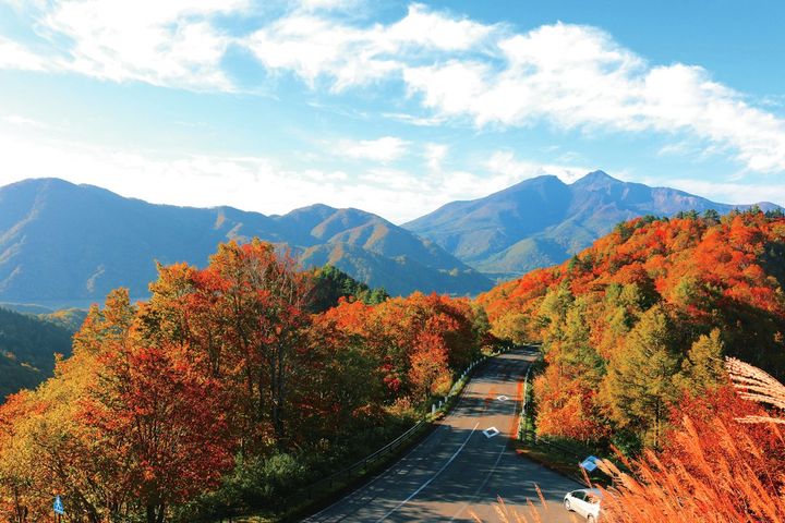 この秋、絶対に走りたい！東北紅葉ツーリング道11選