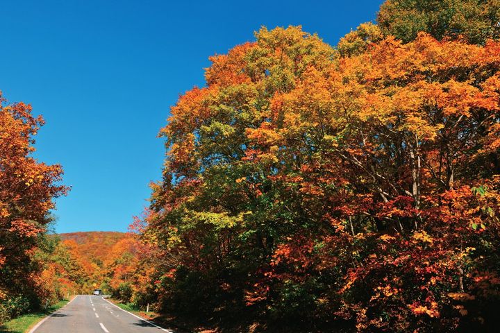 この秋、絶対に走りたい！東北紅葉ツーリング道11選