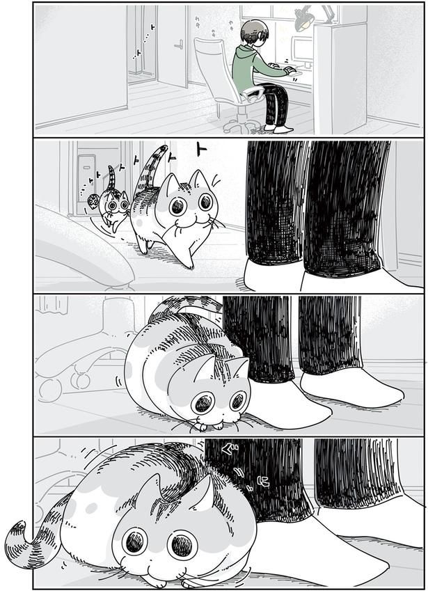 こんな時に限ってへそ天 （C）キュルZ／KADOKAWA