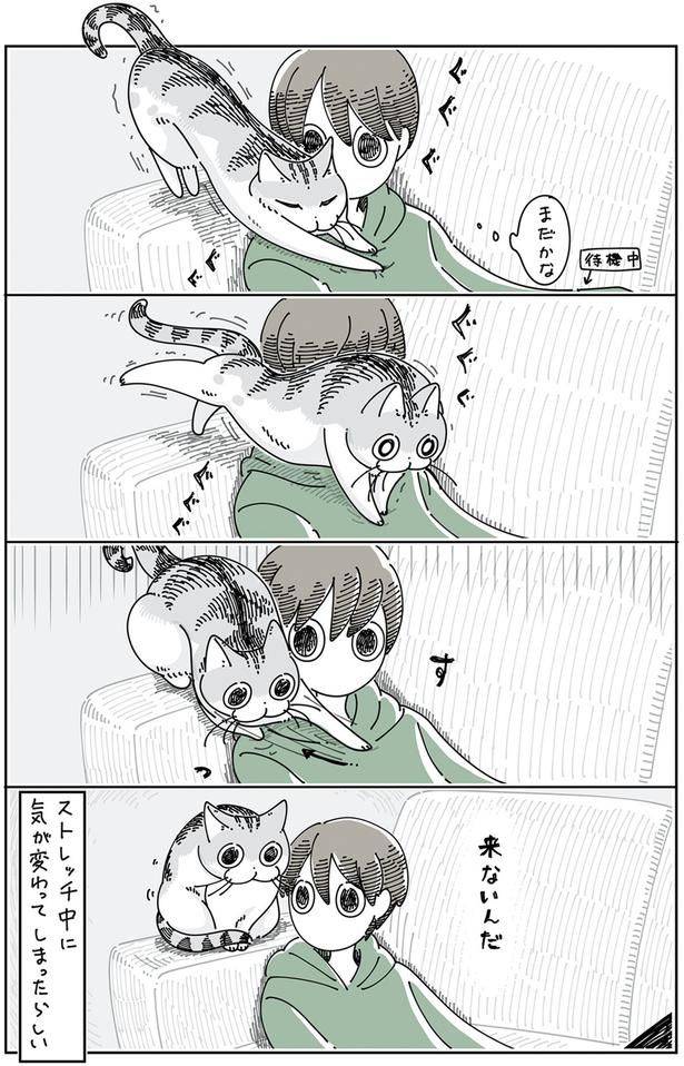 来ないんだ （C）キュルZ／KADOKAWA