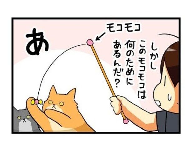 このモコモコは何のため？ もちこ(@mogutchecho)