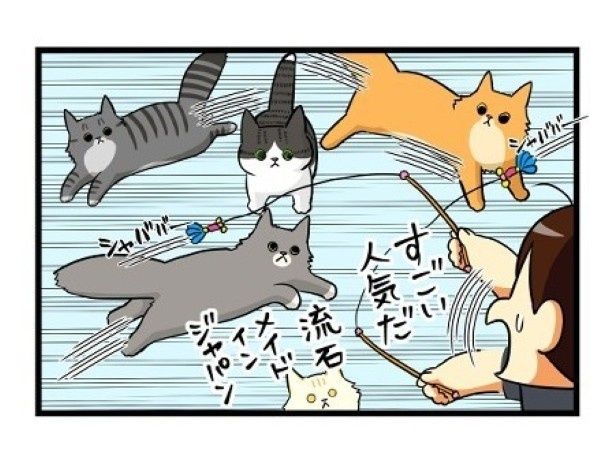 “メイドインジャパン”に魅了された猫たちが宙を舞う もちこ(@mogutchecho)