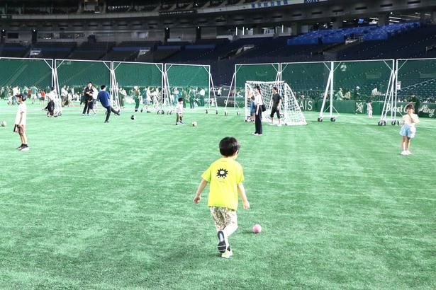 サッカーやキャッチボールなど思い思いに楽しめる