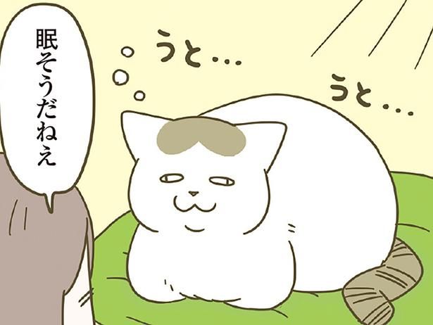 猫に話しかけていたら… （C）卵山玉子／KADOKAWA